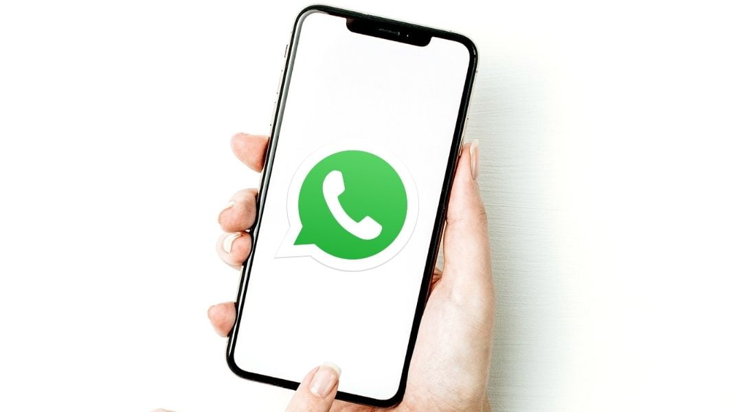 Cree pegatinas para WhatsApp con sus fotos - Las mejores aplicaciones | 111 8