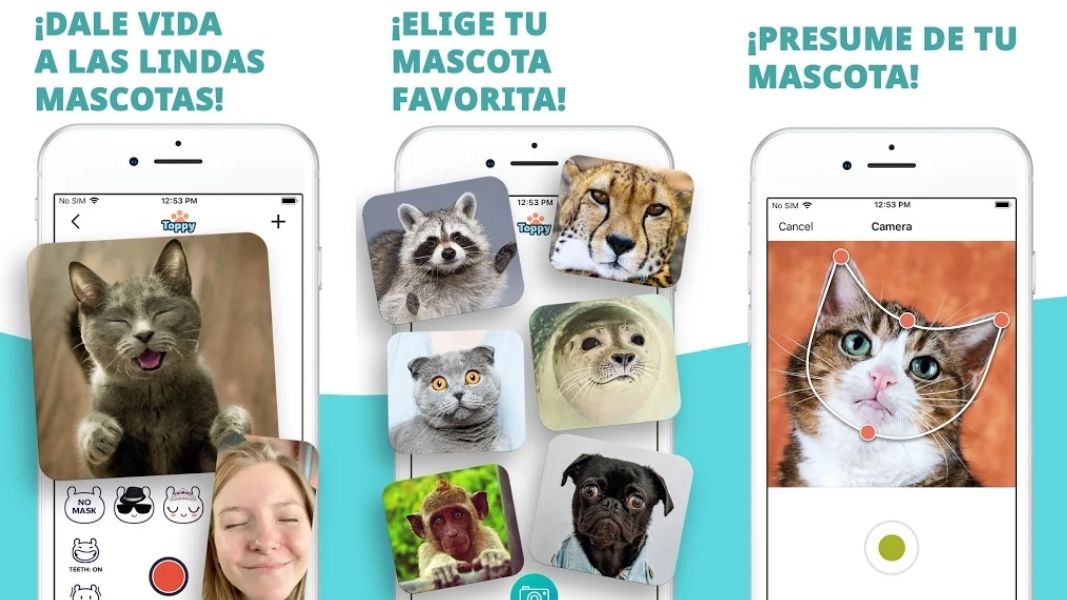 Cómo hacer que tus mascotas hablen con la aplicación Toppy | Toppy
