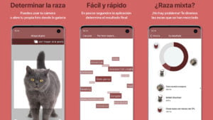 Aplicación para identificar la raza de cualquier gato | Cat Scanner