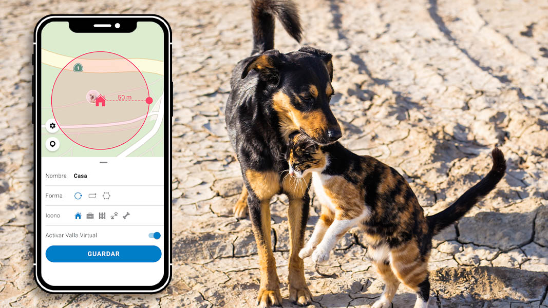 Conoce Tractive, un GPS para perros y gatos | Conoce Tractive un GPS para perros y gatos