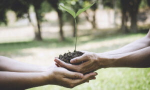 Obtenga una variedad de sonidos de la naturaleza para dormir o meditar con la aplicación Ambience | Aplicacion Ambience