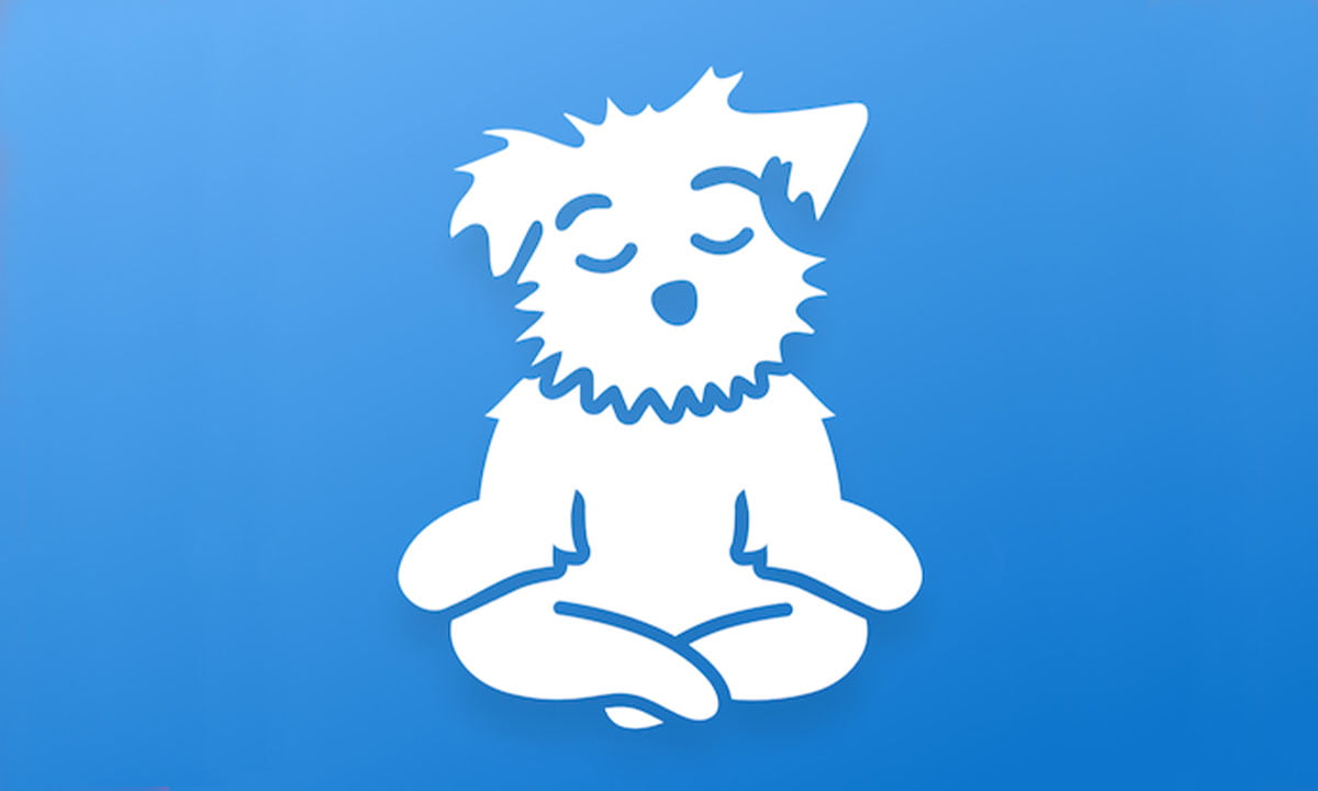 Down Dog meditación para la calma y el sueño | Practica de meditacion