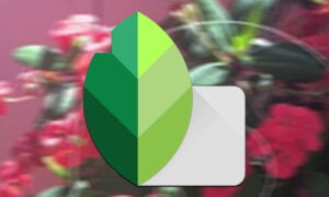 Aplicación Snapseed: Conoce el editor de fotos desarrollado por Google | Aplicacion snapseed