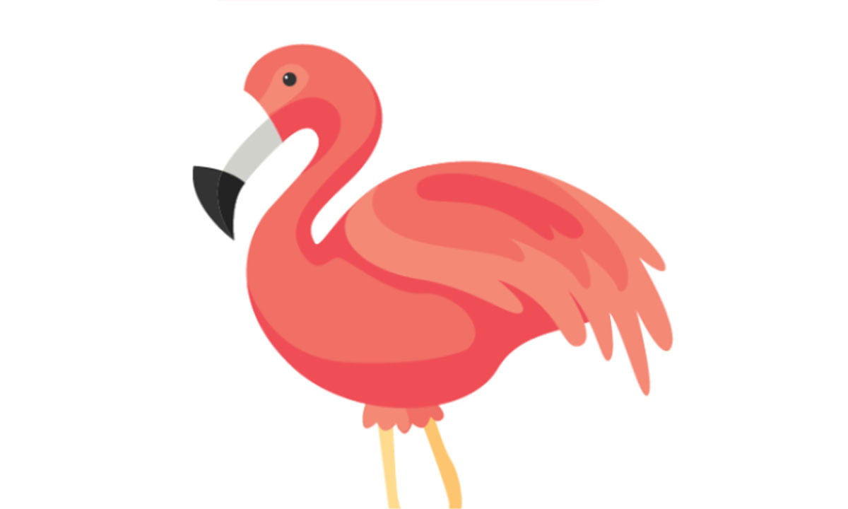 Flamingo Animator: Crea animaciones y da vida a tus ideas | Flamingo Animator