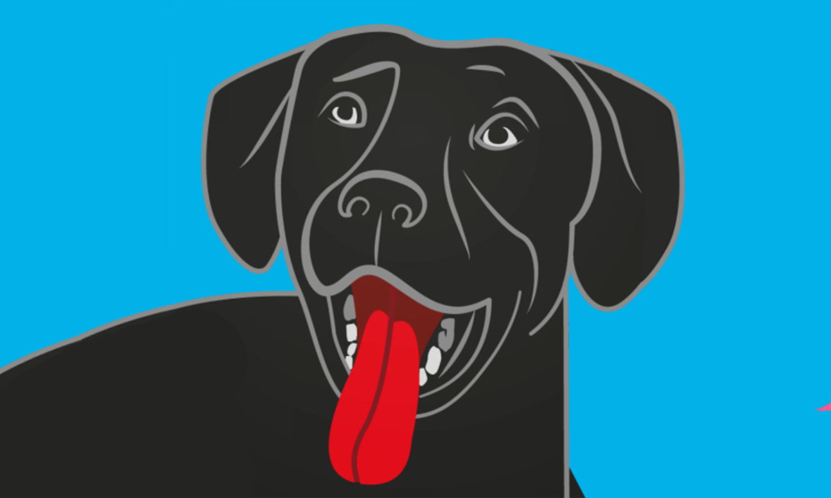 Las aplicaciones para los dueños de perros | Las aplicaciones para duenos de perros