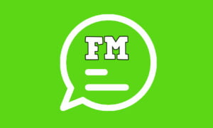 Qué es FMWhatsApp y cuáles son las diferencias con la app normal | FM WhatsApp