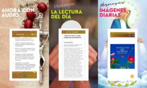 App Biblia Católica en Español – Descarga gratis en tu celular | Biblia catolica en espanol