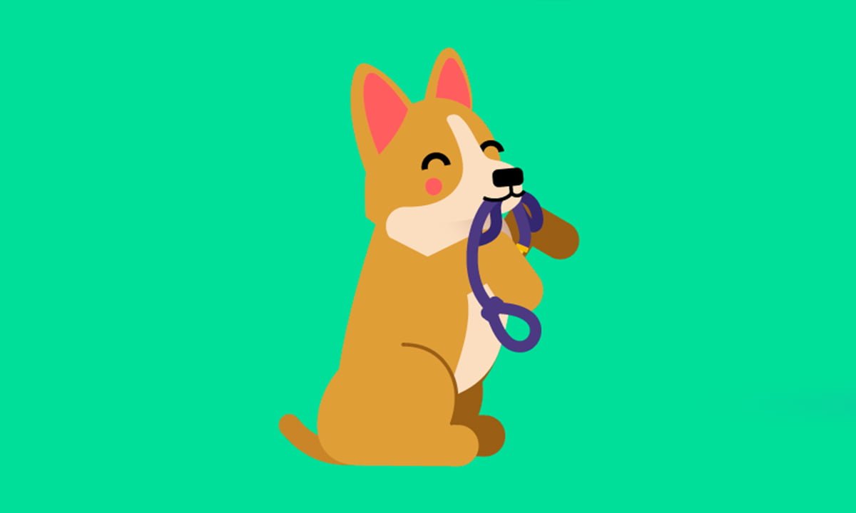 Entrena a tu perro con la aplicación Dogo | Entrena a tu perro con la aplicacion Dogo