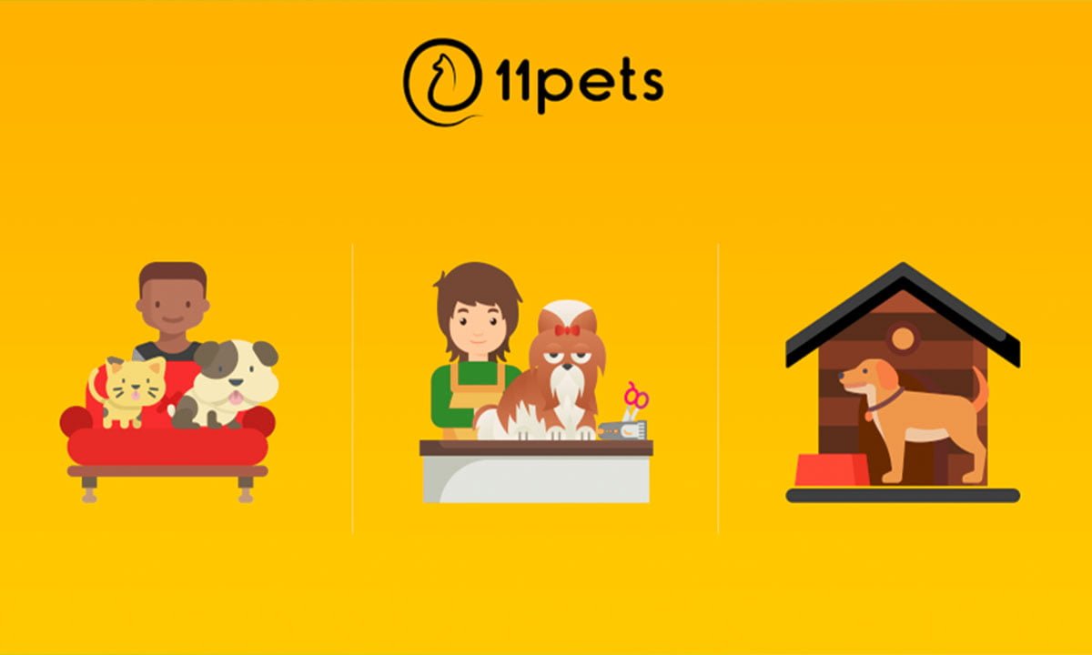11pets: app que te ayuda a cuidar de tu mascota | 11pets App que te ayuda a cuidar de tu mascota