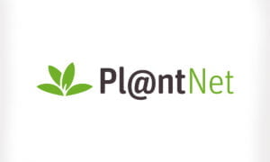 Aplicación PlantNet: La mejor aplicación para identificar plantas | Aplicacion PlantNet Averigue el nombre de cualquier planta