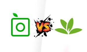 PlantSnap vs. PlantNet: vea cuál es la mejor para identificar plantas | PlantSnap vs. PlantNet vea cual es la mejor aplicacion para identificar plantas