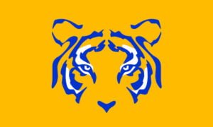 Aplicación oficial de Tigres - Sigue a tu equipo con esta app | Aplicacion oficial de Tigres Sigue a tu equipo con esta app
