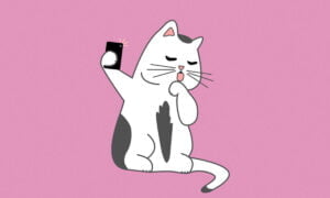 Aplicación que permite a los gatos tomarse sus propios selfies | Aplicacion que permite a los gatos tomarse sus propios selfies