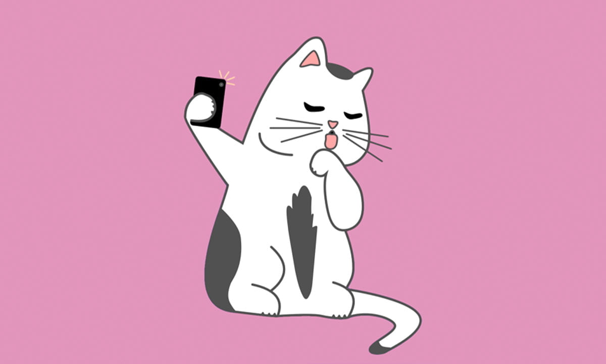 Aplicación que permite a los gatos tomarse sus propios selfies | Aplicacion que permite a los gatos tomarse sus propios selfies