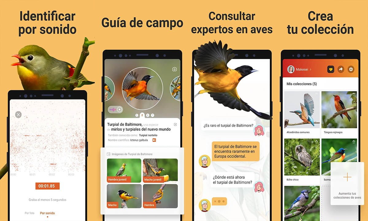 Aplicación para identificar aves: Identificar por el sonido | Aplicacion para identificar aves Identificar por el sonido.SIN