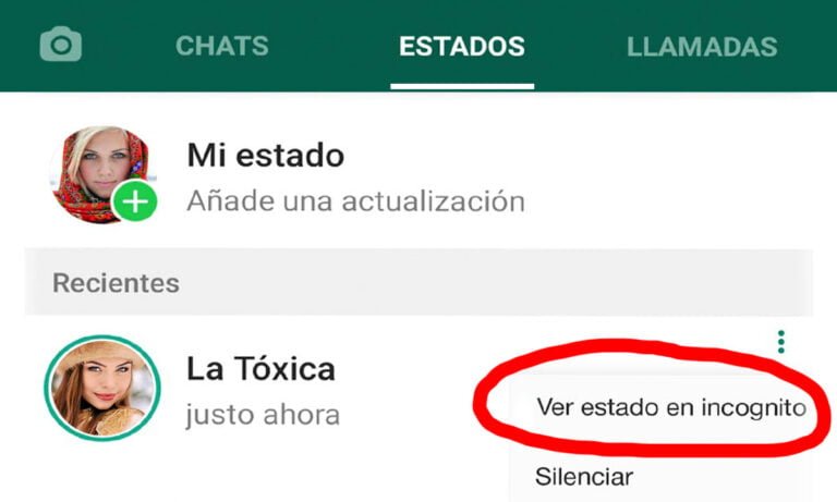 Cómo Ver El Estado De Whatsapp Sin Que El Otro Lo Sepa Stonkstutors 8118