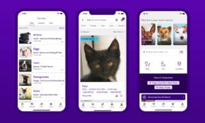 Las mejores apps para adoptar mascotas en 2024 | Las mejores apps para adoptar mascotas en 2022