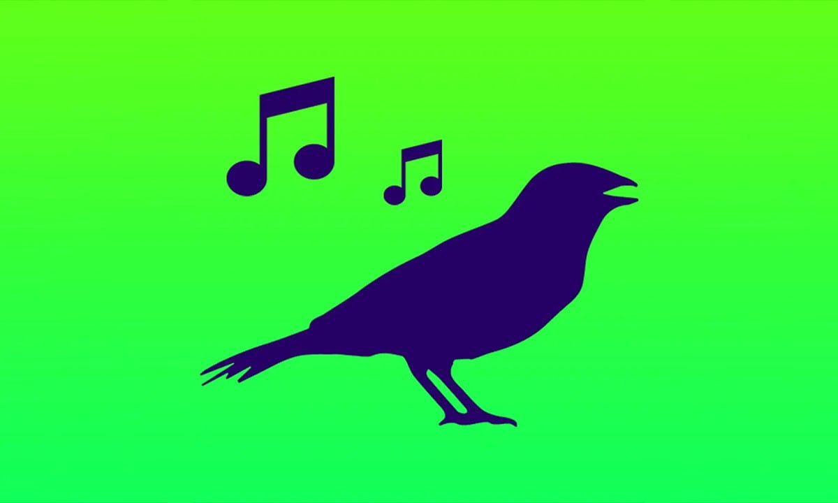 Las mejores aplicaciones de sonidos de pájaros | Las mejores aplicaciones de sonidos de pajaros
