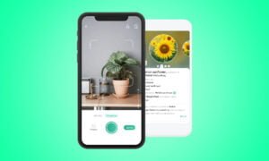 Descubre la aplicación que identifica las plantas y te enseña a cuidarlas | Descubre la aplicacion que identifica las plantas y te ensena a cuidarlas