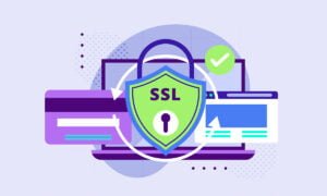 7 razones para usar un certificado SSL en tu sitio web | 7 razones para usar un certificado SSL en tu sitio web