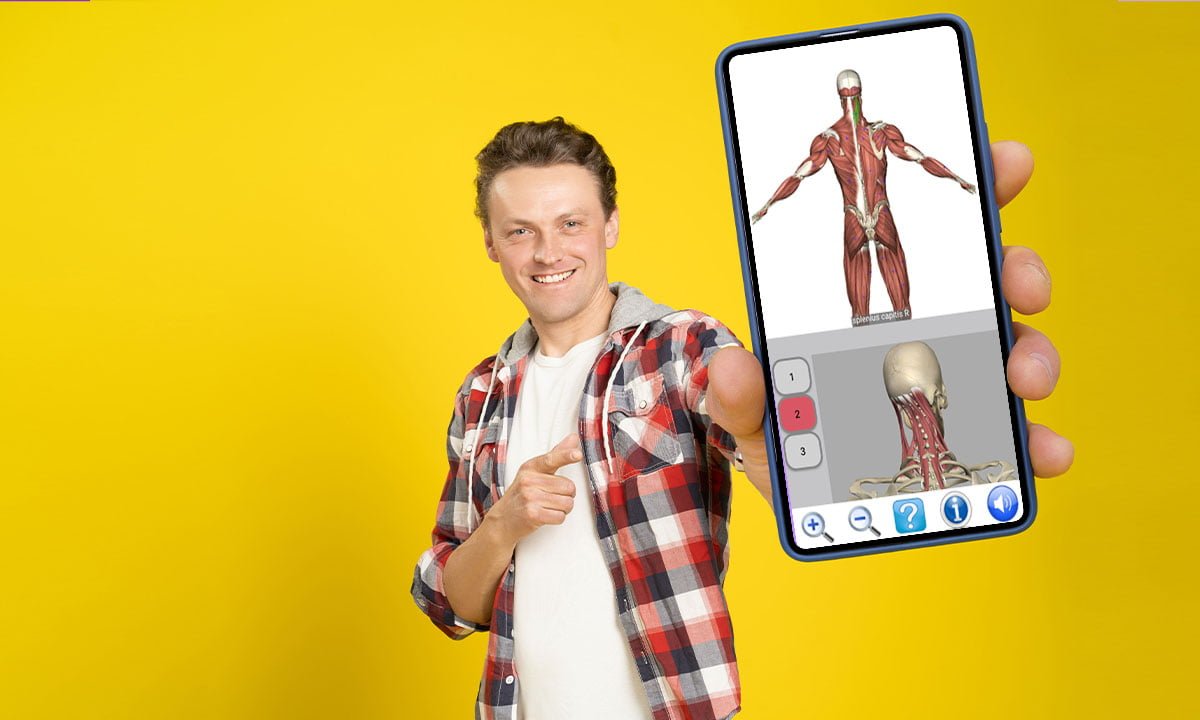 Aplicación para visualizar el esqueleto en 3D: estudia el cuerpo humano