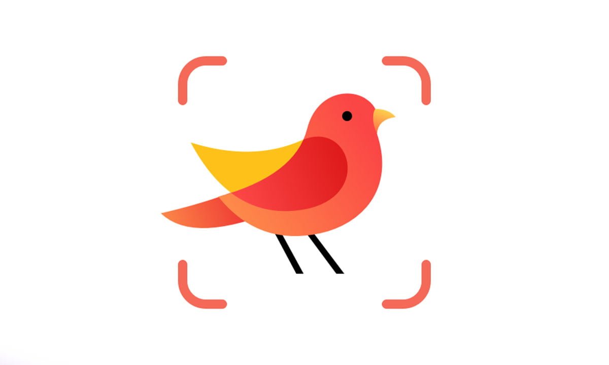 Aplicación para identificar aves por su sonido | 10 Aplicacion para identificar aves por su sonido