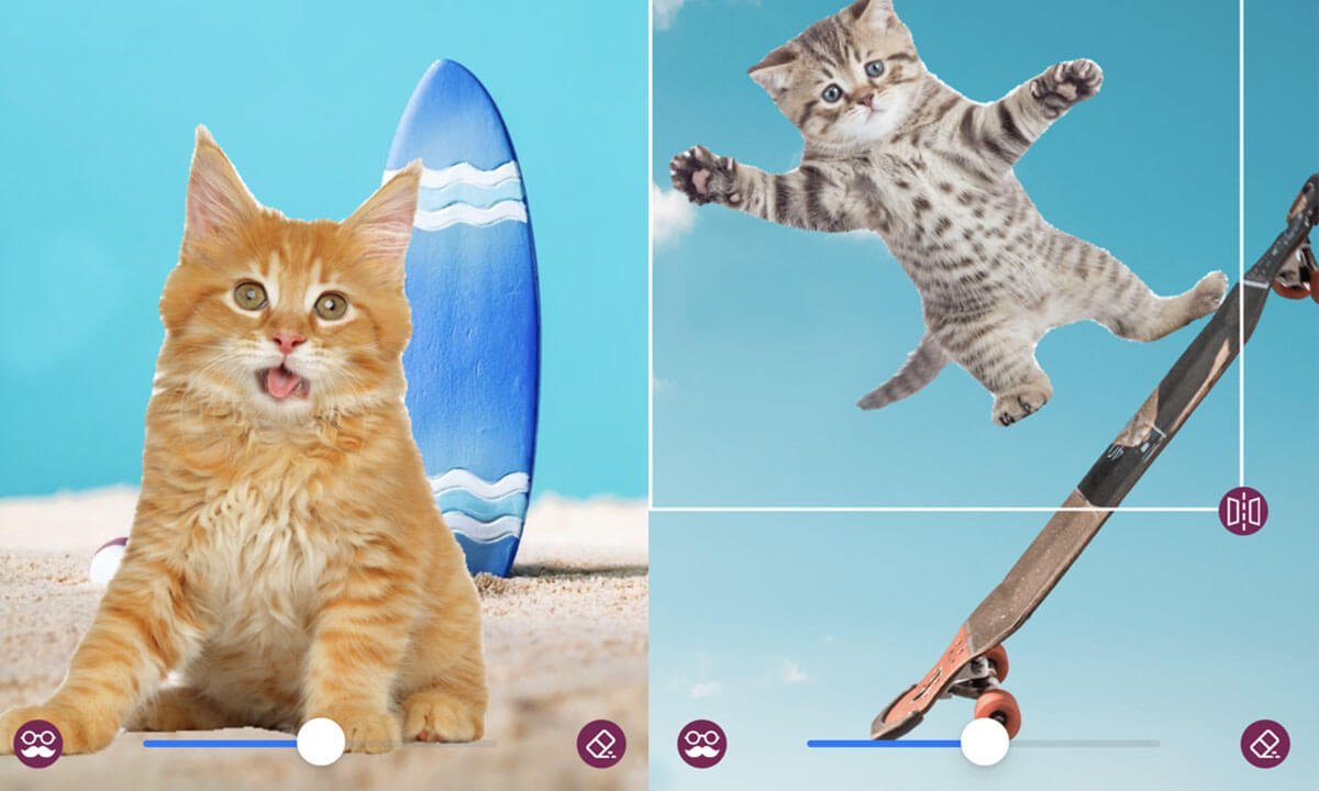 Las mejores aplicaciones para editar fotos de tus gatos | 60. Las mejores aplicaciones para editar fotos de tus gatos