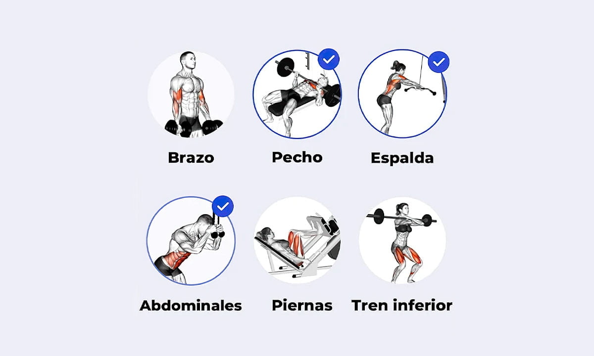 15 aplicaciones gratuitas para rutinas de gimnasio | 17. 15 aplicaciones gratuitas para rutinas de gimnasio