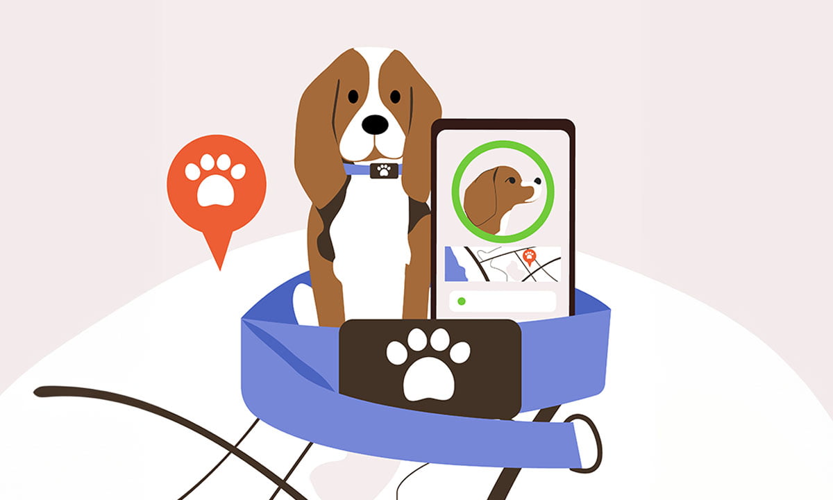 Las mejores aplicaciones de GPS para perros | 14 Las mejores aplicaciones de GPS para perros