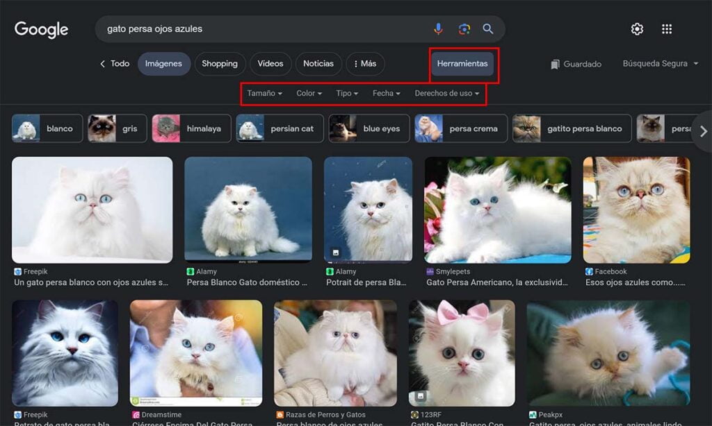 Cómo refinar tus búsquedas de imágenes en Google | Foto 102.102.2