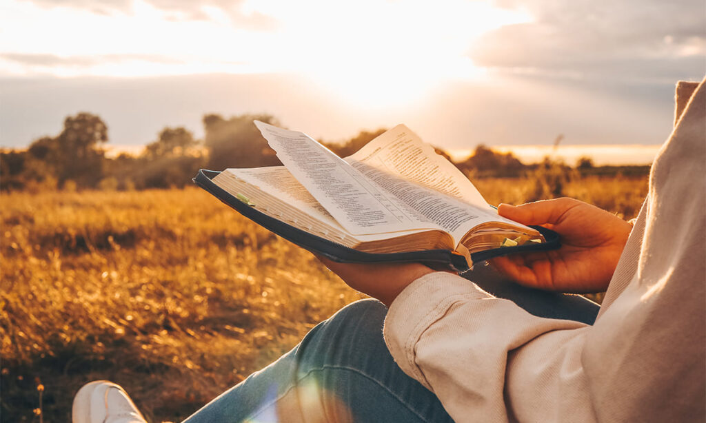 Cómo leer la Biblia desde el celular sin descargar aplicaciones | Cómo leer la Biblia desde el celular sin descargar aplicaciones3