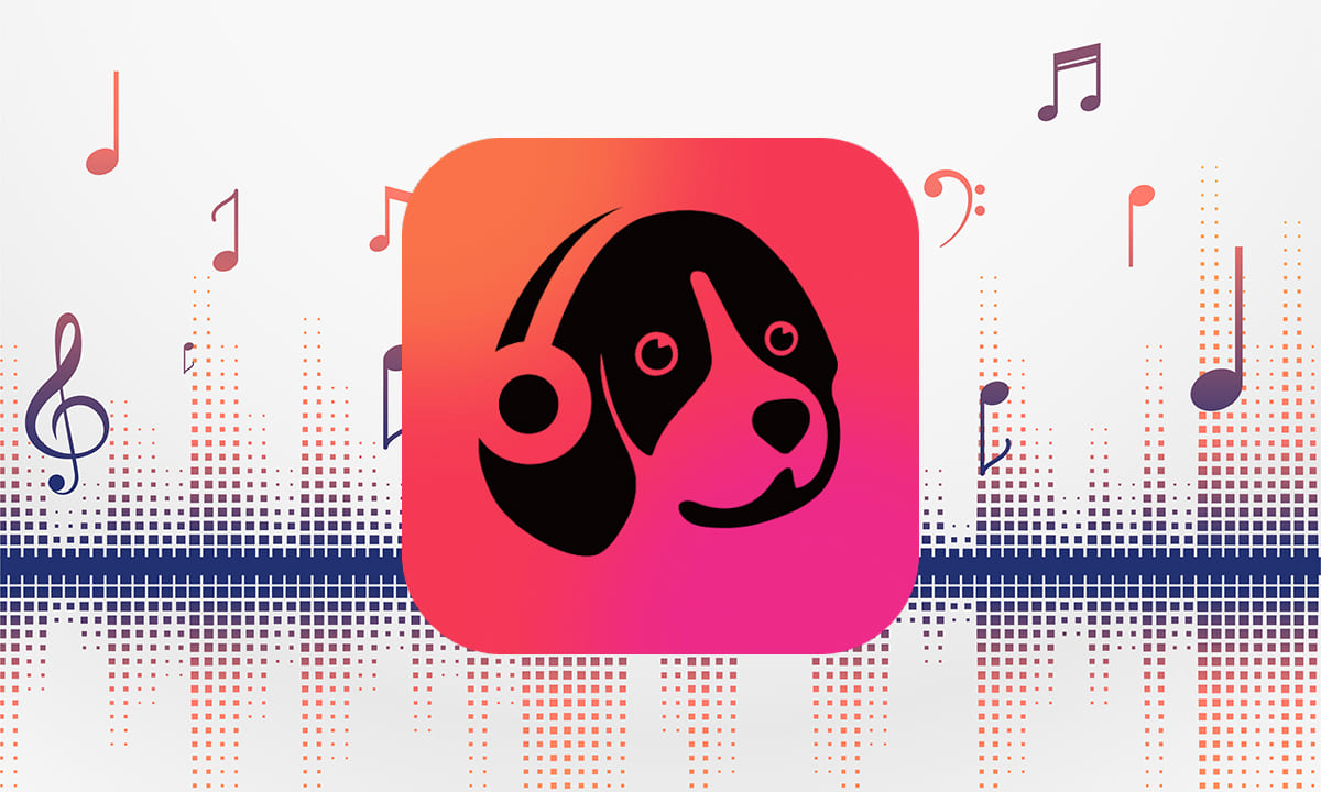 Aplicación Muso - Reproductor de música offline profesional | Aplicación Muso Reproductor de música offline profesional1
