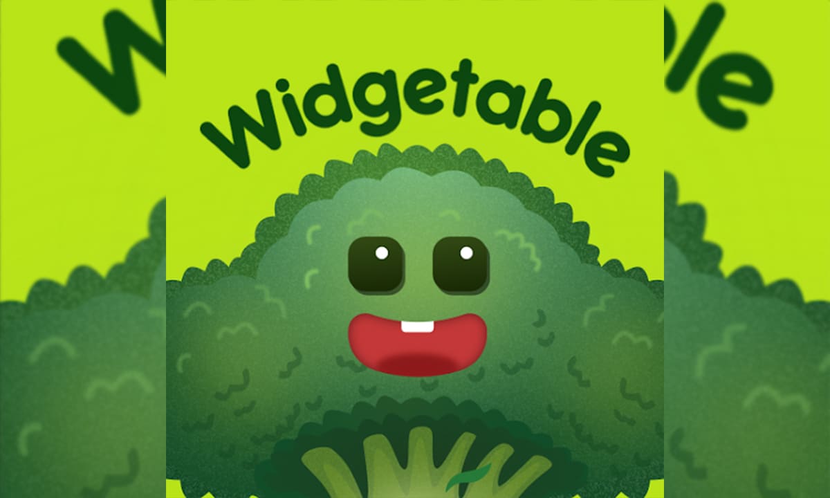 Aplicación Widgetable: haz que tu pantalla sea adorable | Aplicación Widgetable haz que tu pantalla sea adorable3