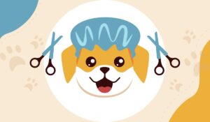 Curso básico de peluquería canina: en línea y gratis | Curso básico de peluquería canina en línea y gratis3