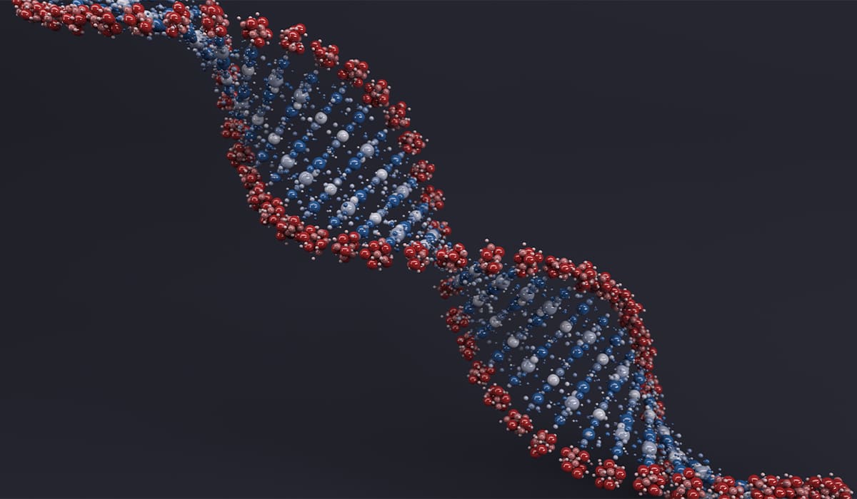 Análisis de ADN con DNalyzer: Descubre tus orígenes y más | Análisis de ADN con DNalyzer Descubre tus orígenes y más1