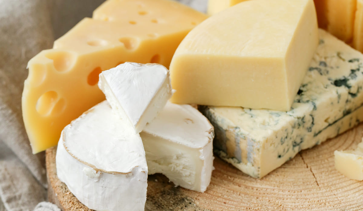 ¿Te gusta el queso? Conoce la aplicación para conocer todo sobre los tipos de queso | Te gusta el queso Conoce la aplicación para conocer todo sobre los tipos de queso2