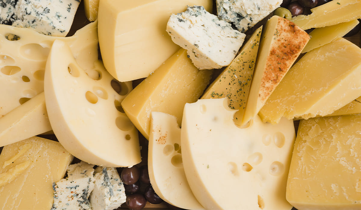 ¿Te gusta el queso? Conoce la aplicación para conocer todo sobre los tipos de queso | Te gusta el queso Conoce la aplicación para conocer todo sobre los tipos de queso3