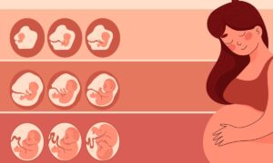 Aplicación para calcular la fecha de nacimiento de tu bebé | Aplicación para calcular la fecha de nacimiento de tu bebé2