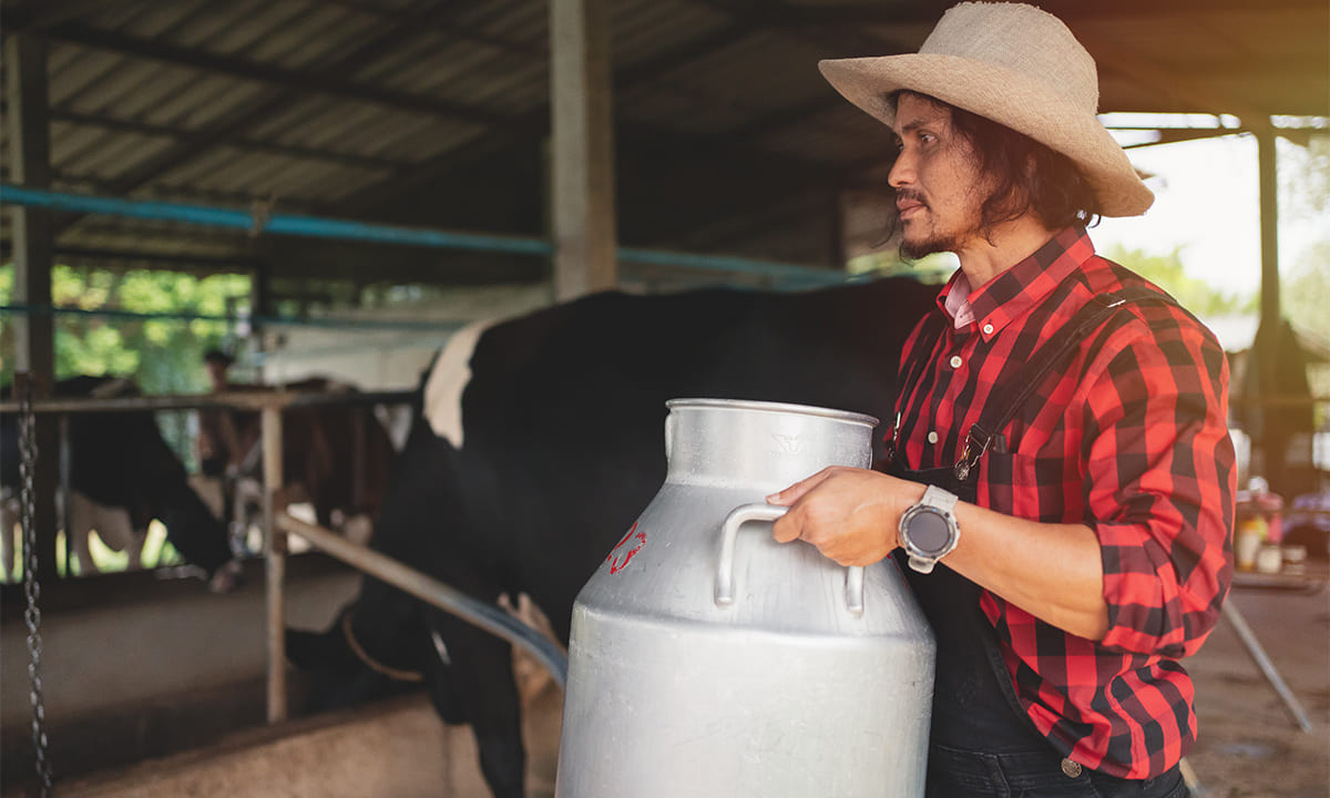 Conozca el curso gratuito de productor de leche de la Fundación Carlos Slim | Conozca el curso gratuito de productor de leche de la Fundación Carlos Slim
