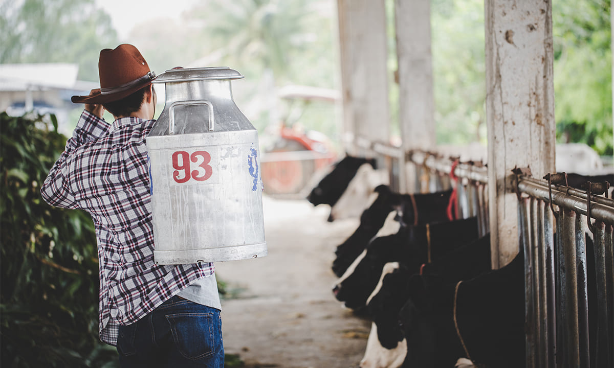 Conozca el curso gratuito de productor de leche de la Fundación Carlos Slim | Conozca el curso gratuito de productor de leche de la Fundación Carlos Slim2