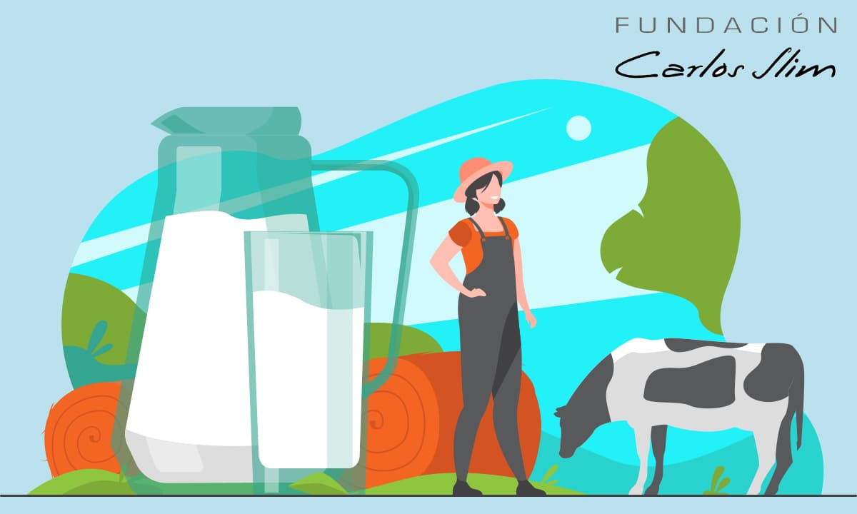 Conozca el curso gratuito de productor de leche de la Fundación Carlos Slim | Conozca el curso gratuito de productor de leche de la Fundación Carlos Slim3 cópia