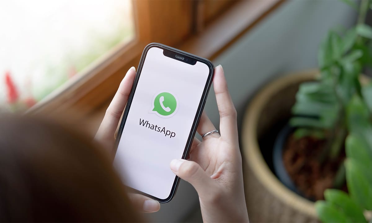 Conoce y descarga la última versión de WhatsApp | Conoce y descarga la última versión de WhatsApp1