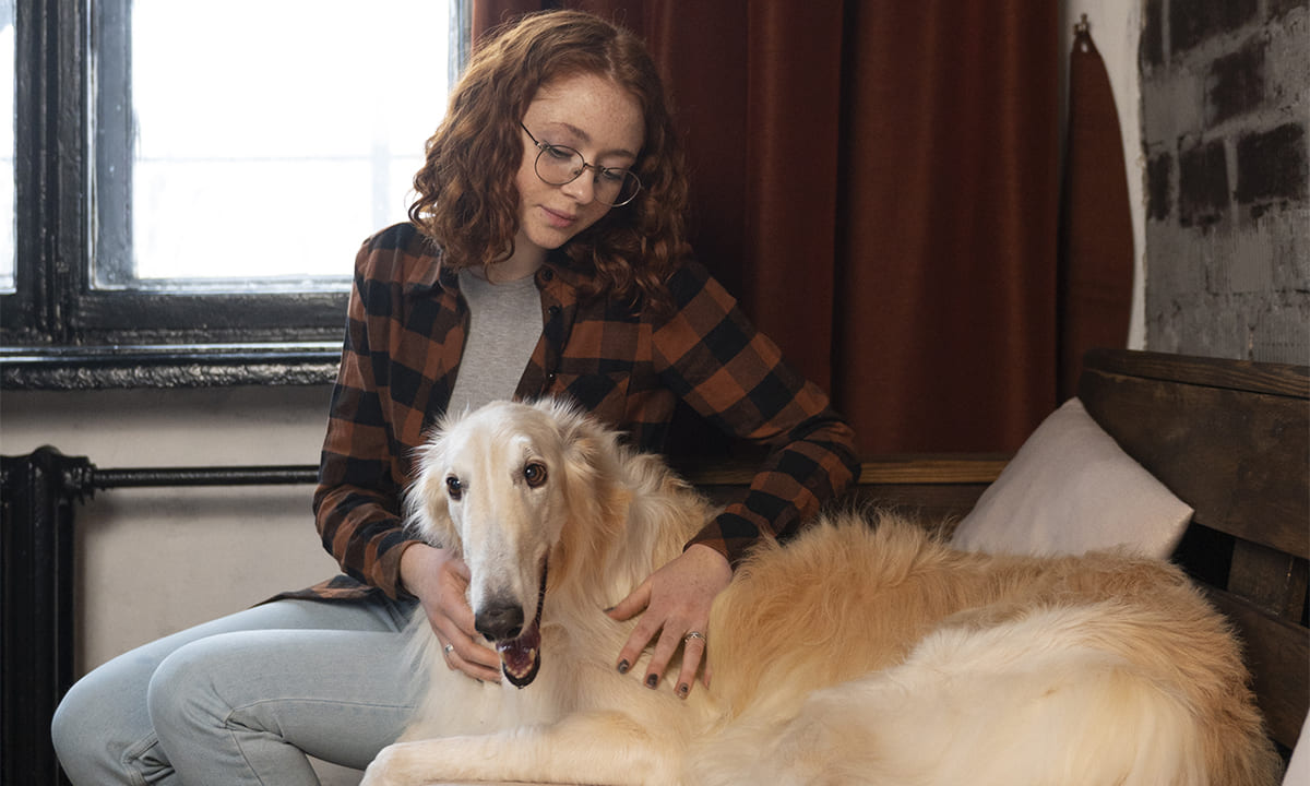 Aplicación para descubrir a qué raza se parece tu perro (o tu amigo) | Aplicación para descubrir a qué raza se parece tu perro o tu amigo1