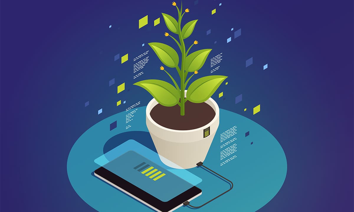 Aprende cómo cuidar de plantas con Bing, una IA gratis | Aprende cómo cuidar de plantas con Bing una IA gratis2