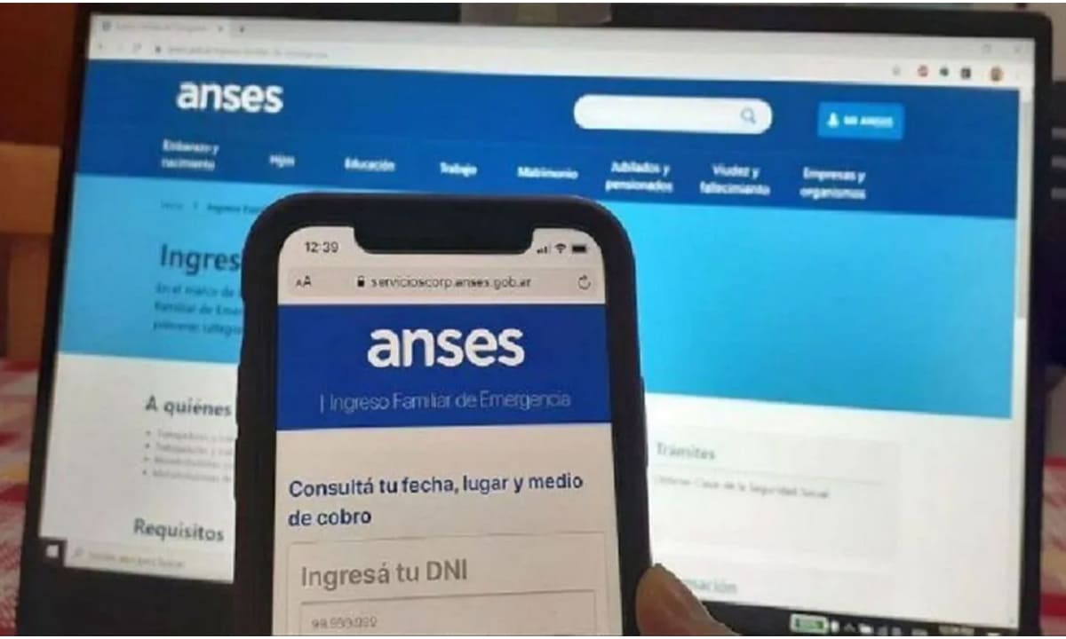 Cómo programar una cita en Mi ANSES en línea | Cómo programar una cita en Mi ANSES en línea1