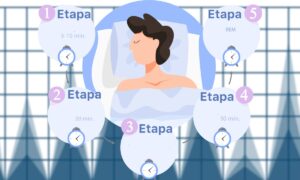 Gráfico de sueño ideal: ve si estás durmiendo bien y lo suficiente | Gráfico de sueño ideal ve si estás durmiendo bien y lo suficiente1