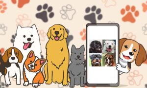 Conoce la app que tiene un quiz de raza de perro para que te desafíes | Perros Foto quiz sobre razas2