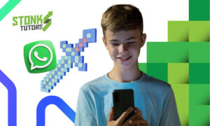 WhatsApp de Minecraft