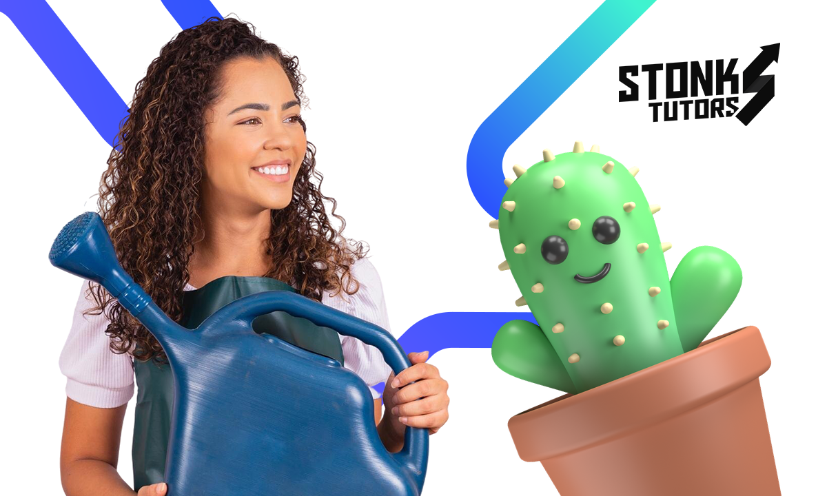 Plantas de interior más buscadas