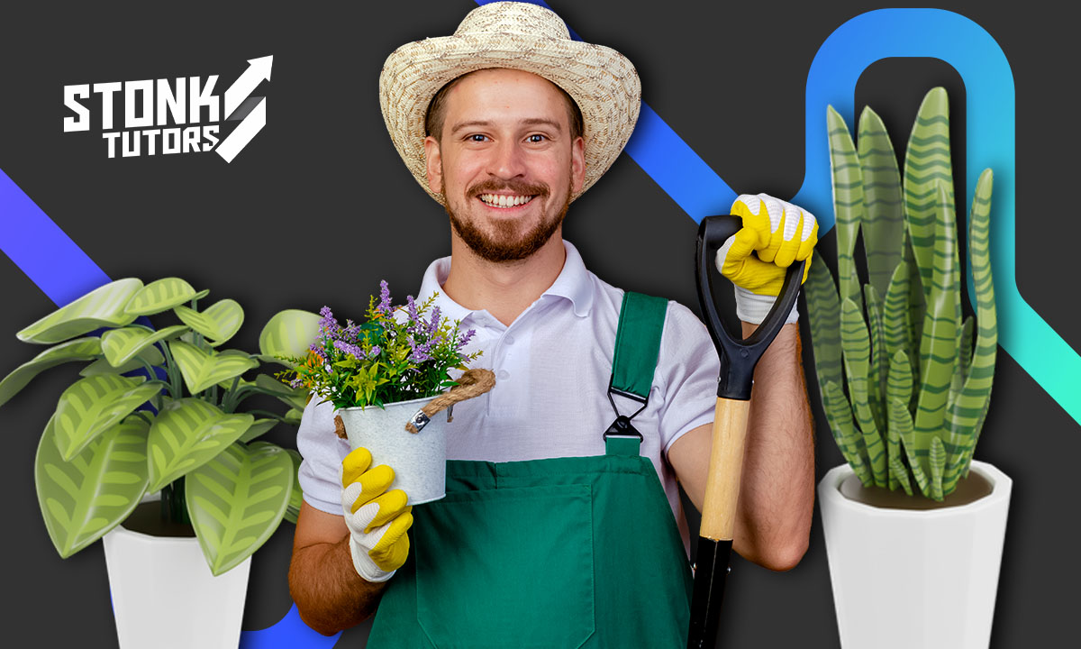 Plantas saludables todo el año